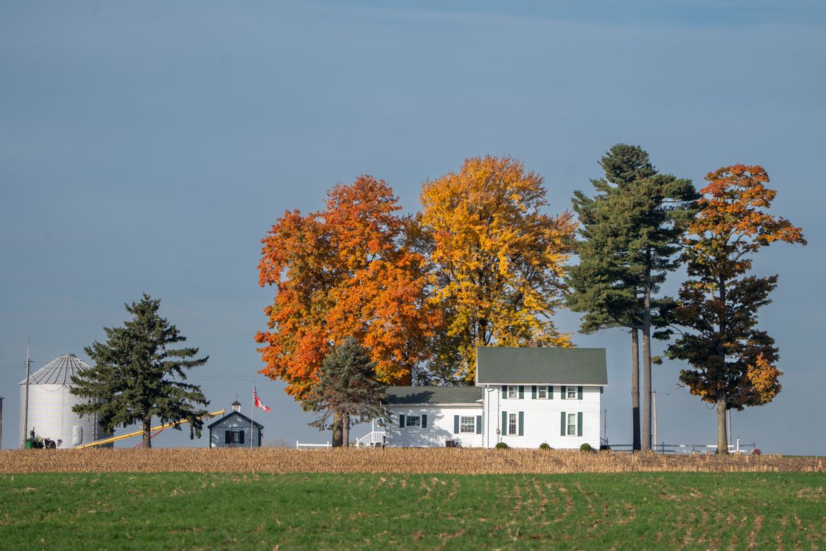 Charming Indiana farmhouse framed by autumn foliage