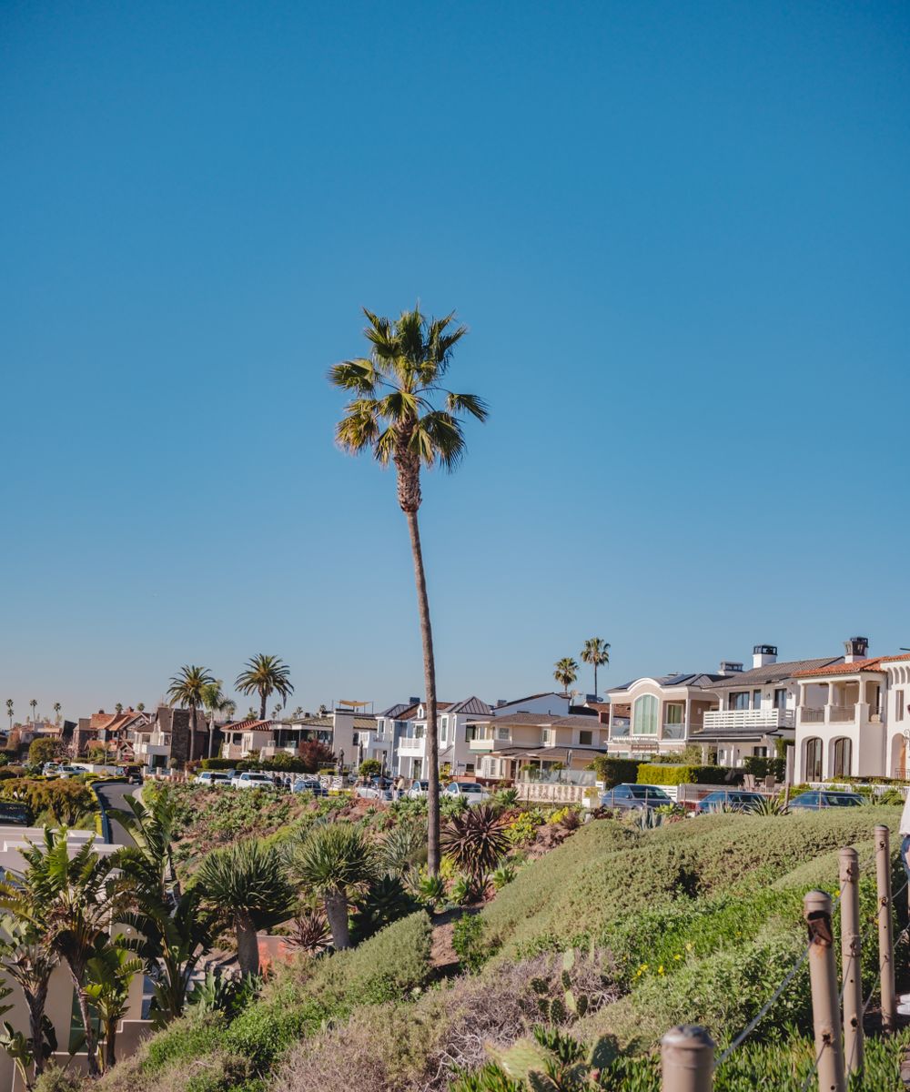 Southern California homes lined with palm trees near the coast